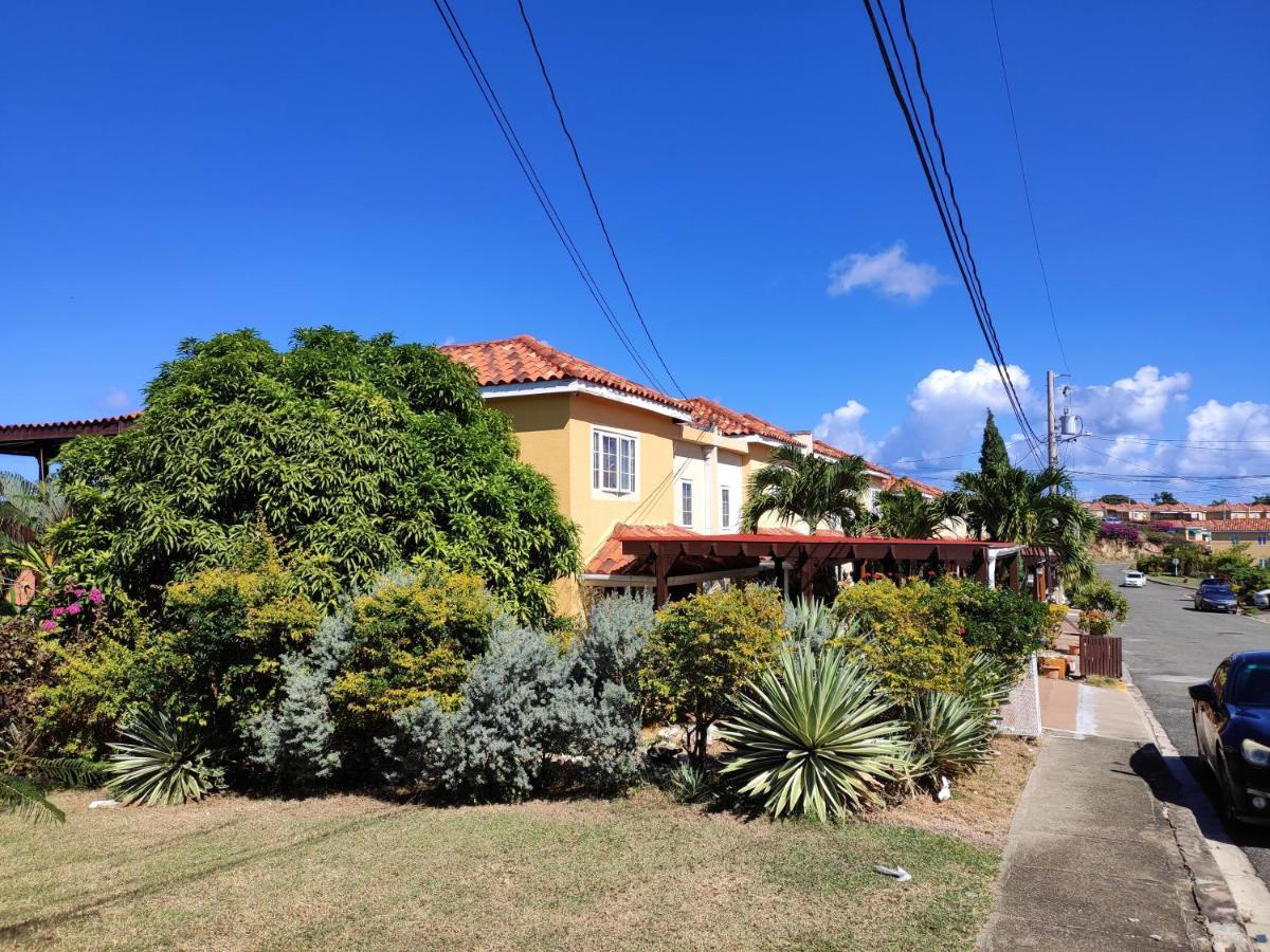 Montego Bay Garden Studio Exterior photo