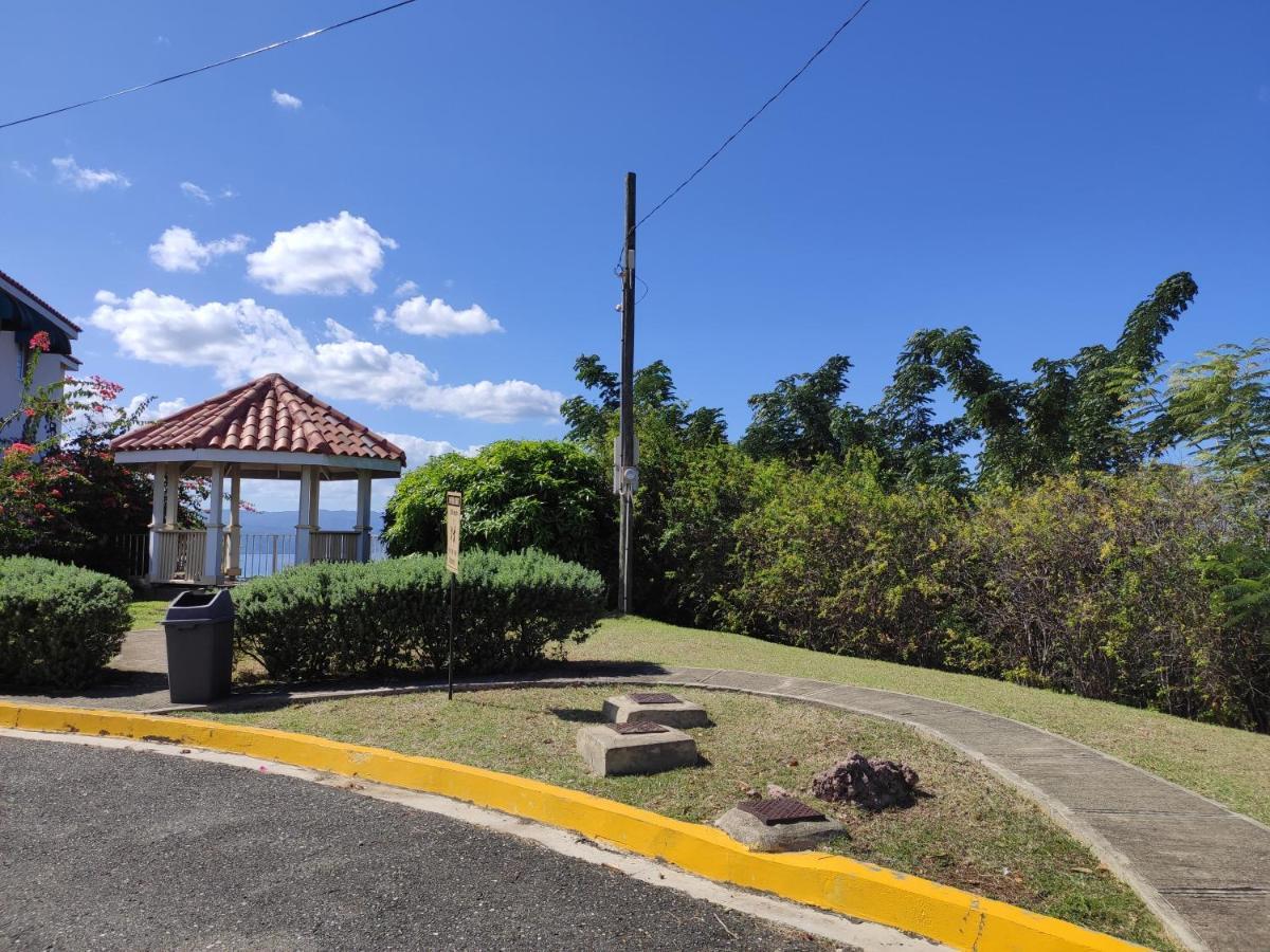 Montego Bay Garden Studio Exterior photo